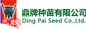 石家莊登諾企業(yè)管理咨詢有限公司